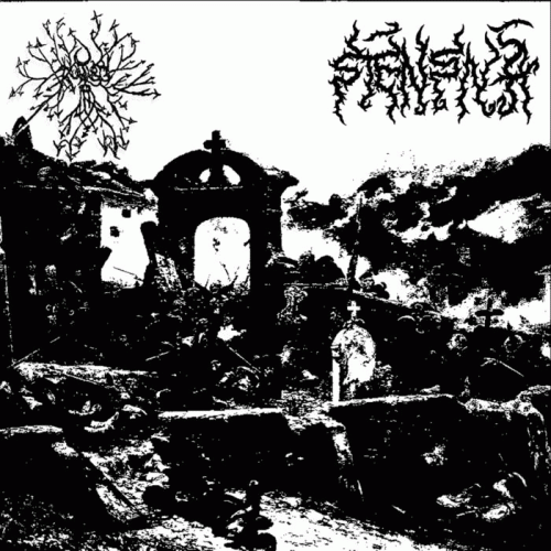 Rudis : Rudis - Stensna